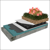 Planted roof systems